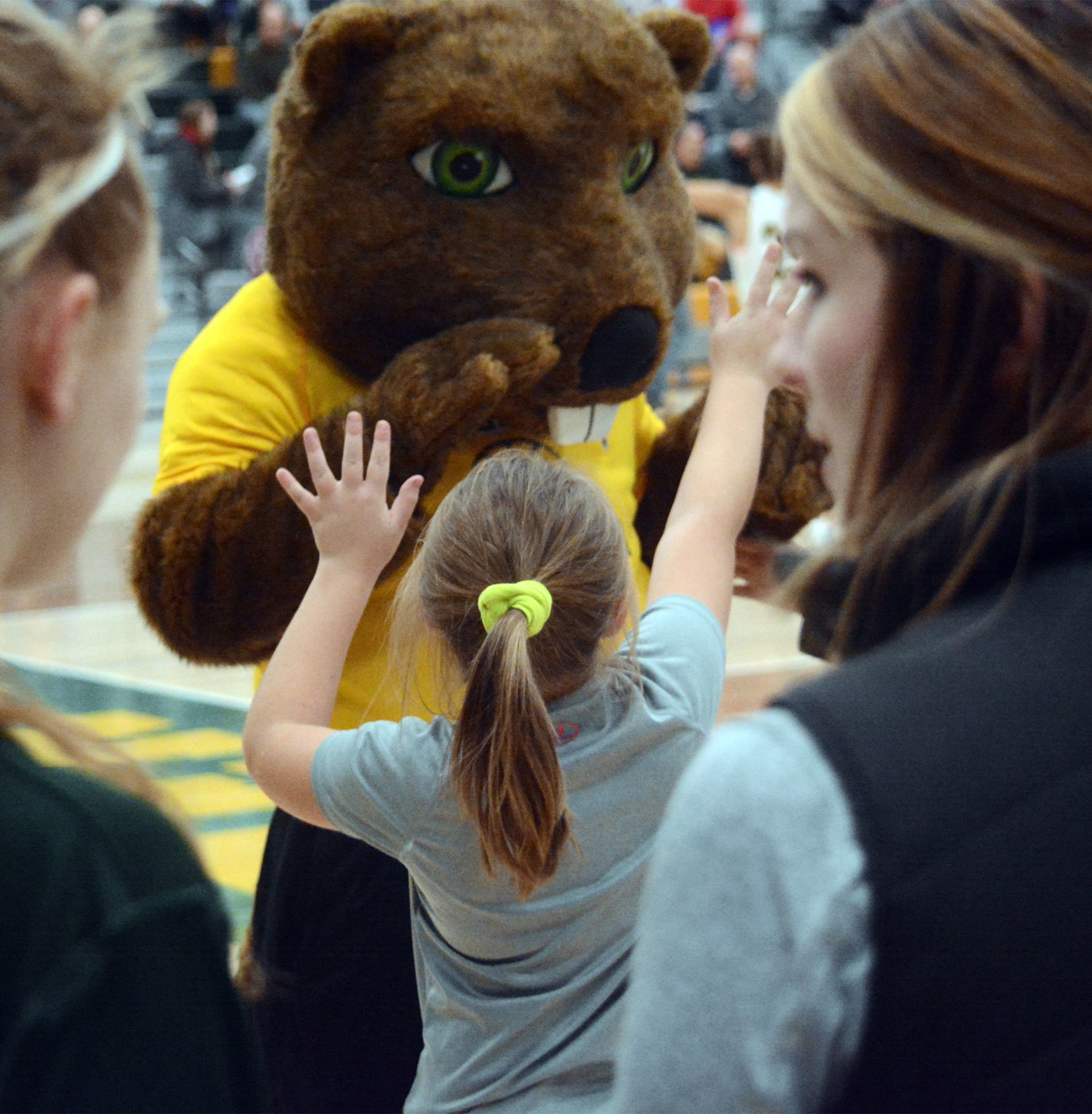 Benny the Beaver.jpg